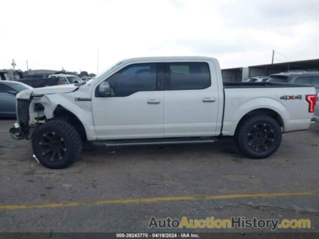 FORD F-150 XLT, 1FTEW1EF1FFA23980