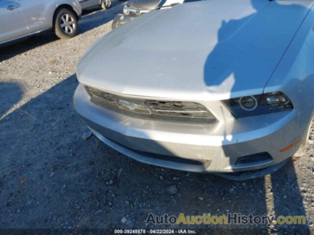 FORD MUSTANG, 1ZVBP8AN0A5155808