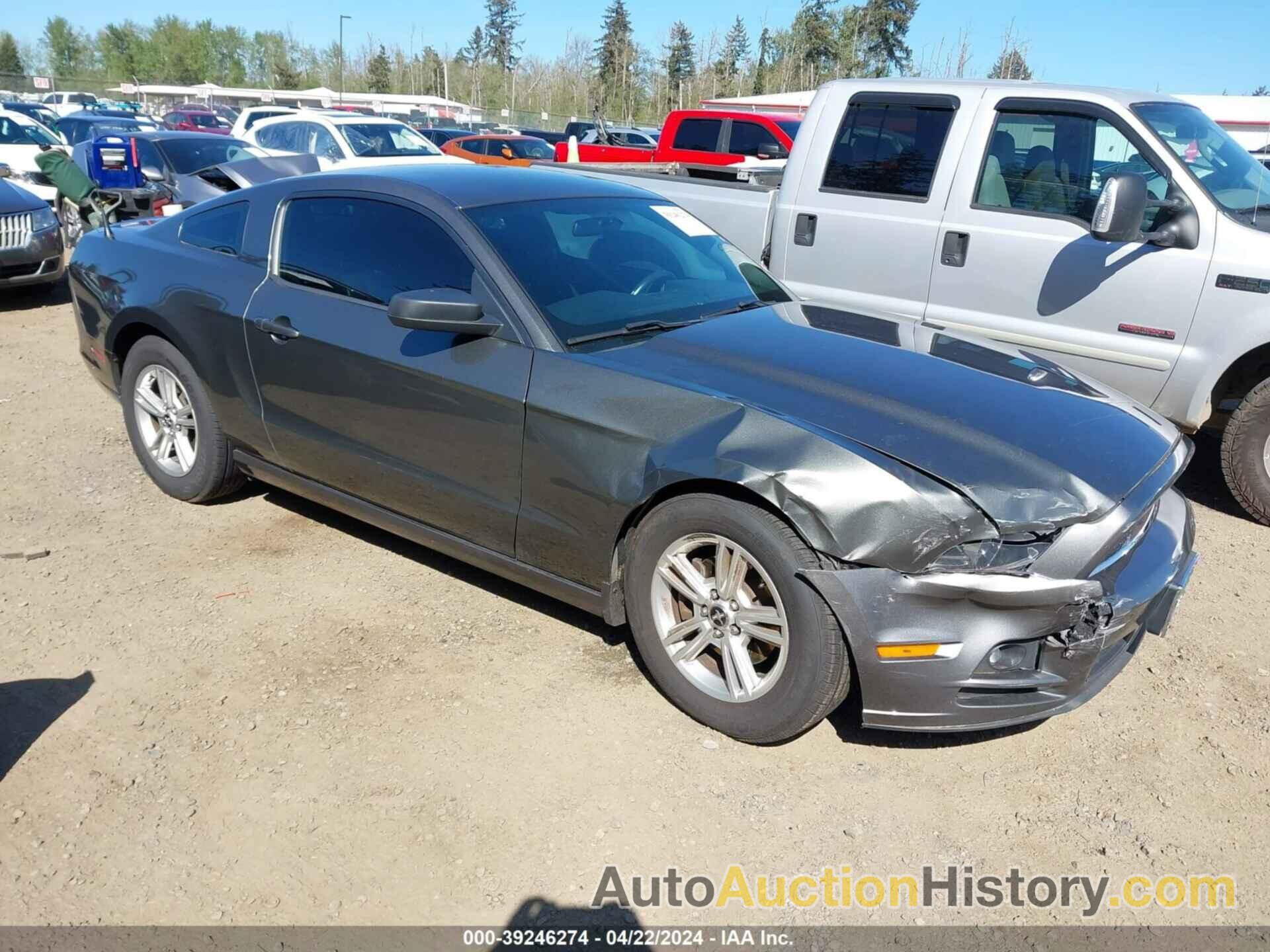 FORD MUSTANG V6, 1ZVBP8AM0E5255078