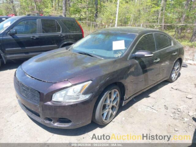 NISSAN MAXIMA 3.5 SV, 1N4AA5AP7AC806529