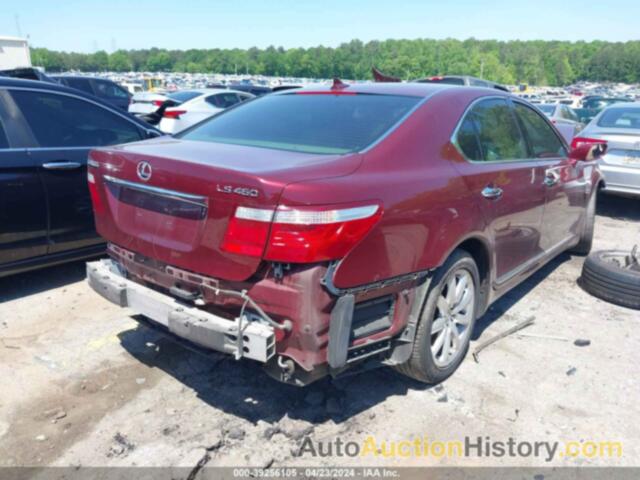 LEXUS LS 460, JTHBL46F075047561