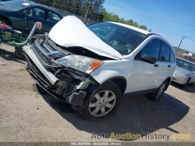 HONDA CR-V SE, 5J6RE4H40BL100862