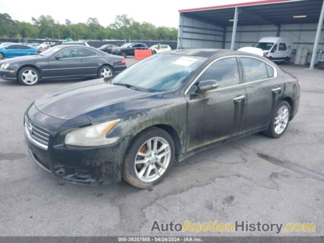 NISSAN MAXIMA 3.5 SV, 1N4AA5AP4BC814668