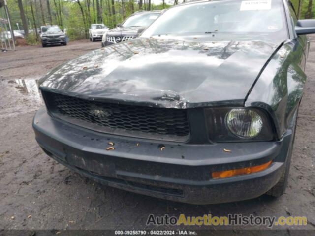 FORD MUSTANG, 1ZVFT84N655238108