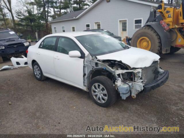 TOYOTA COROLLA LE, 2T1BU4EE1BC731439