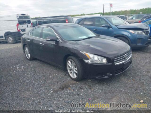 NISSAN MAXIMA S/SV, 1N4AA5AP2AC862474