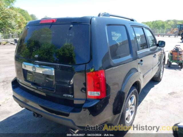 HONDA PILOT EX-L, 5FNYF4H60BB017676