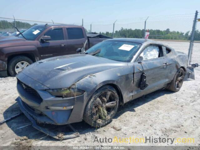 FORD MUSTANG, 1FA6P8TH6M5104402