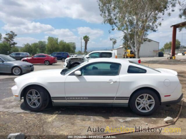 FORD MUSTANG, 1ZVBP8AM9C5283474