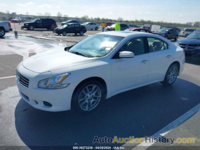 NISSAN MAXIMA 3.5 SV, 1N4AA5AP6BC818821