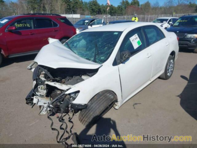 TOYOTA COROLLA LE, 2T1BU4EE1CC883884