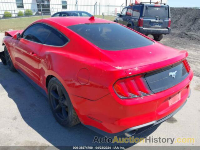 FORD MUSTANG ECOBOOST FASTBACK, 1FA6P8TH3L5188466