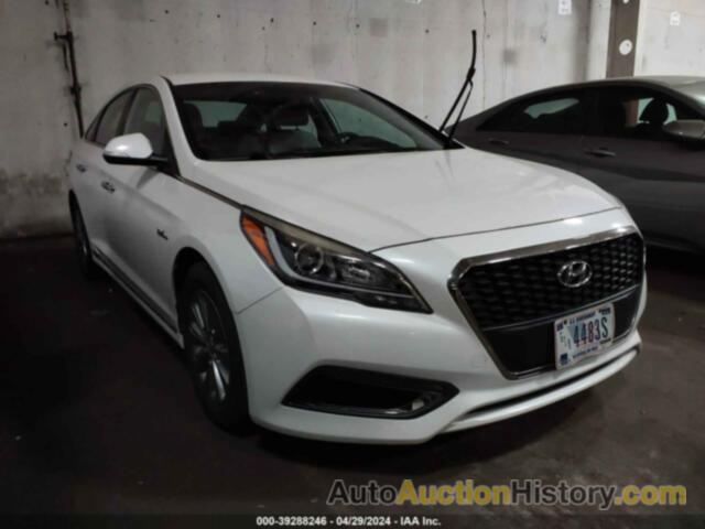 HYUNDAI SONATA HYBRID SE, KMHE24L15GA037489