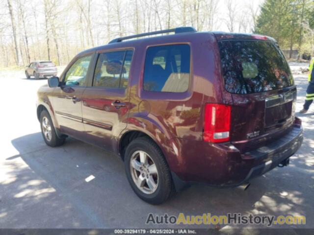 HONDA PILOT EX, 5FNYF4H40BB019166