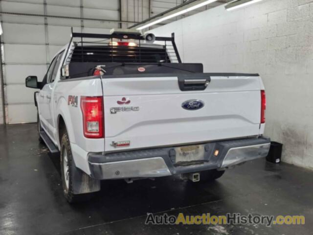 FORD F-150 XLT, 1FTEW1EGXHKC71356