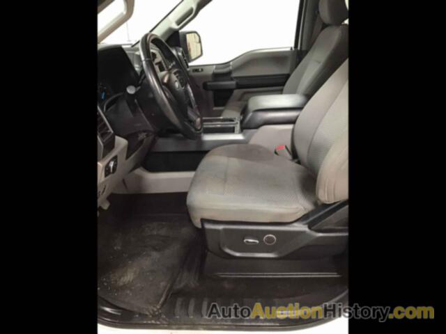 FORD F-150 XLT, 1FTEW1EP1HKE13691
