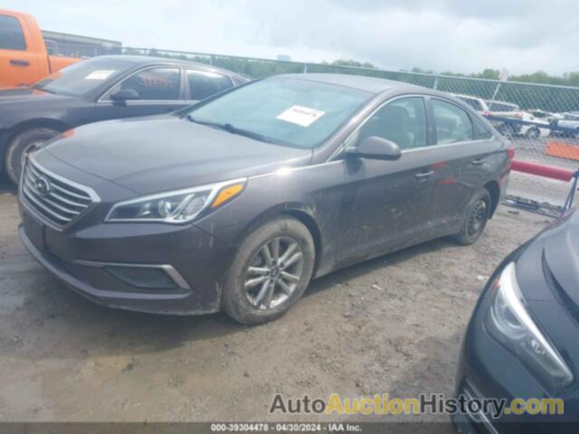 HYUNDAI SONATA, 5NPE24AF4HH578272