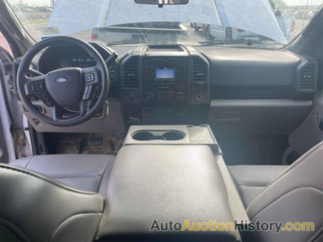 FORD F-150 XL, 1FTFX1E53KKE76590