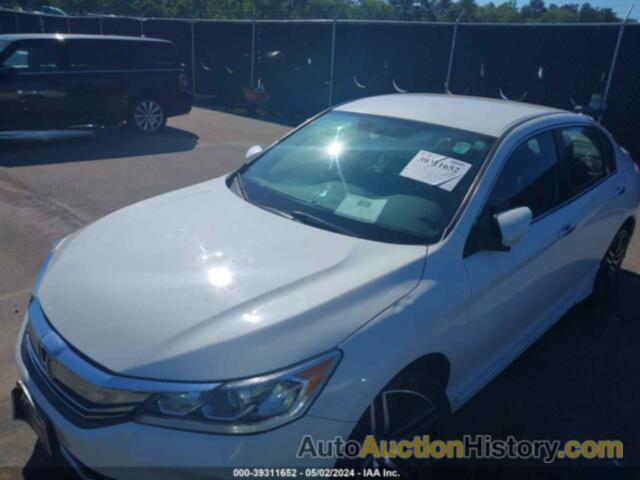 HONDA ACCORD SPORT, 1HGCR2F52GA123516