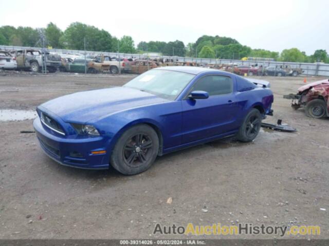 FORD MUSTANG, 1ZVBP8AM8E5230879