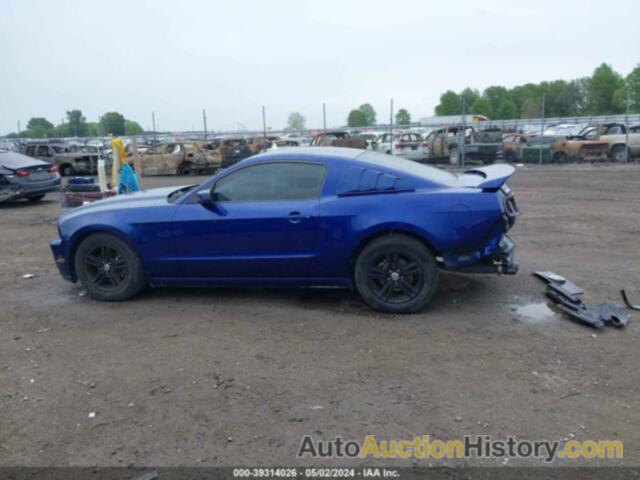 FORD MUSTANG, 1ZVBP8AM8E5230879