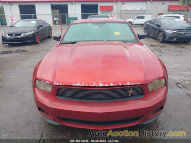 FORD MUSTANG V6 PREMIUM, 1ZVBP8AMXC5220741