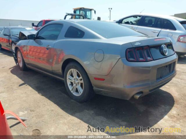 FORD MUSTANG, 1ZVBP8AM7E5311632