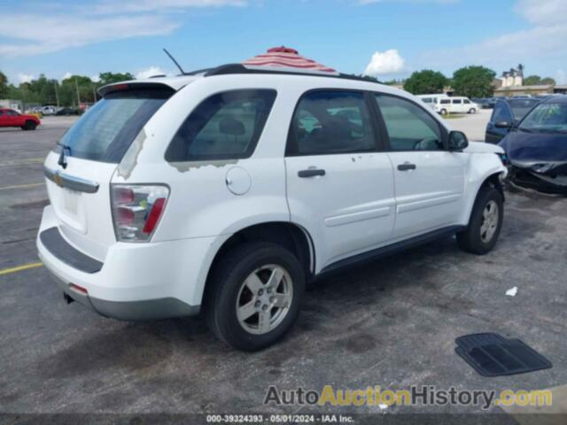 CHEVROLET EQUINOX LS, 2CNDL13F586034481