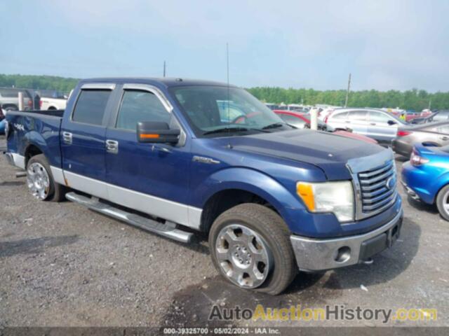 FORD F-150 SUPERCREW, 1FTFW1EV0AFB18647