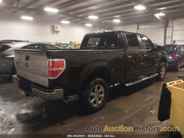 FORD F-150 XLT, 1FTFW1ET3DFB73788