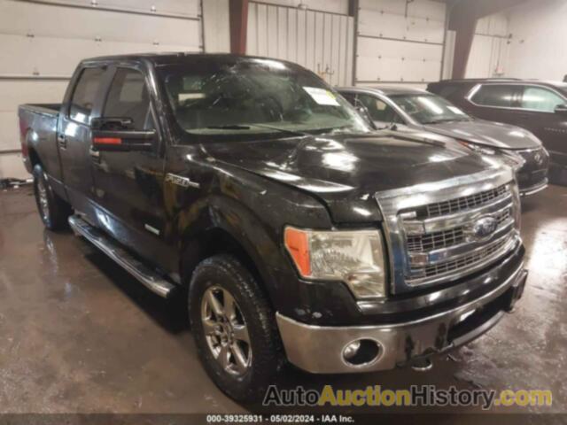 FORD F-150 XLT, 1FTFW1ET3DFB73788