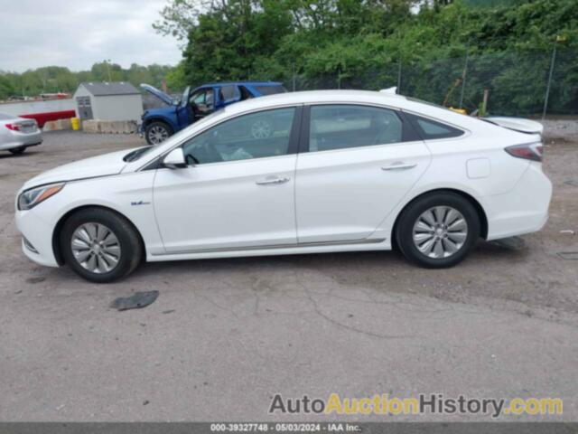 HYUNDAI SONATA HYBRID SE, KMHE24L12GA025008