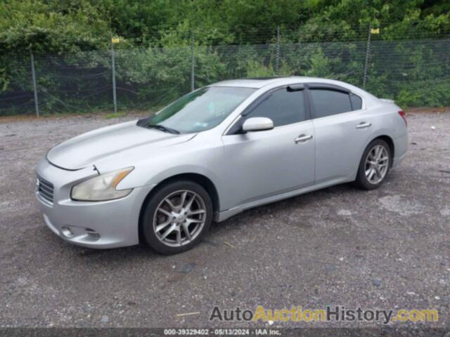 NISSAN MAXIMA S/SV, 1N4AA5APXBC848680