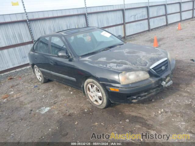 HYUNDAI ELANTRA GLS/GT, KMHDN56D16U194237