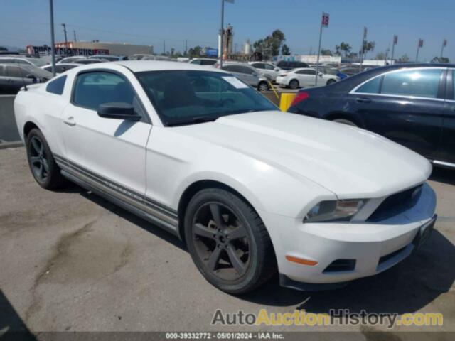 FORD MUSTANG V6/V6 PREMIUM, 1ZVBP8AN8A5159069