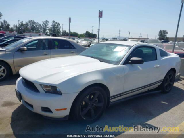 FORD MUSTANG V6/V6 PREMIUM, 1ZVBP8AN8A5159069