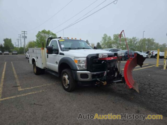 FORD F-450 CHASSIS XL, 1FDUF4HT4GEC76017