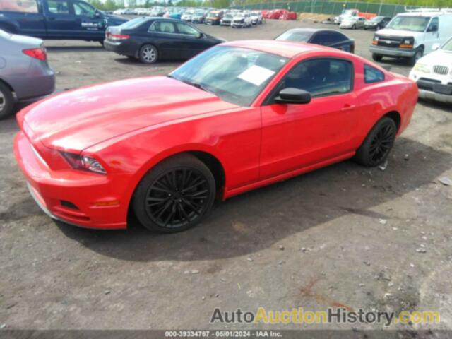 FORD MUSTANG V6, 1ZVBP8AM8E5316242