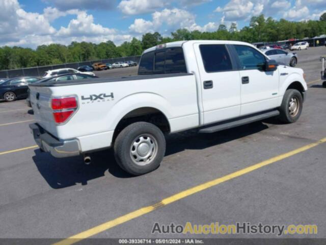 FORD F-150 XLT, 1FTFW1ET9EKF94052