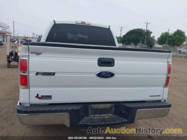 FORD F-150 XLT, 1FTEW1CM8DKD15258