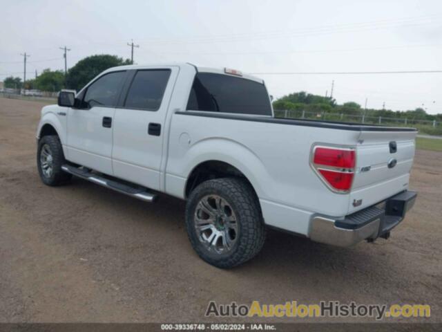 FORD F-150 XLT, 1FTEW1CM8DKD15258