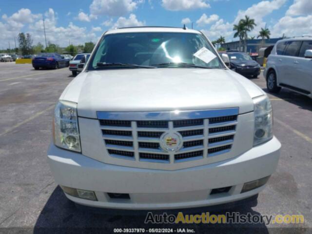 CADILLAC ESCALADE STANDARD, 1GYS3AEF8DR288896