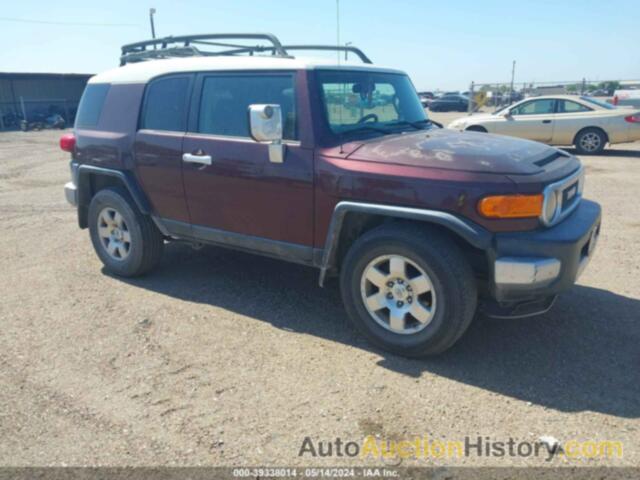 TOYOTA FJ CRUISER, JTEZU11FX70013428