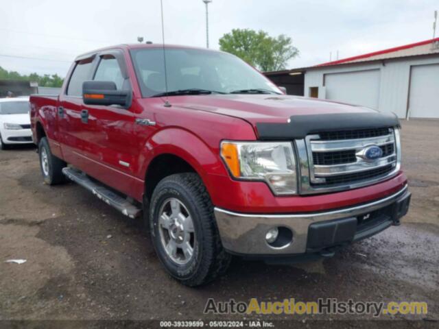 FORD F-150 XLT, 1FTFW1ET6EFC53989