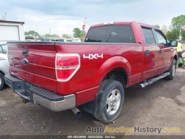 FORD F-150 XLT, 1FTFW1ET6EFC53989