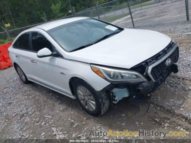 HYUNDAI SONATA HYBRID SE, KMHE24L13HA055426