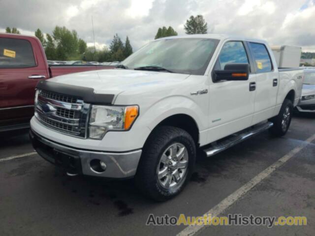 FORD F-150 XLT, 1FTFW1ET1DFC50593