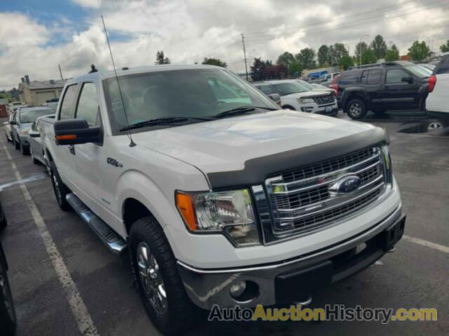 FORD F-150 XLT, 1FTFW1ET1DFC50593