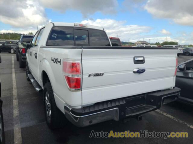 FORD F-150 XLT, 1FTFW1ET1DFC50593