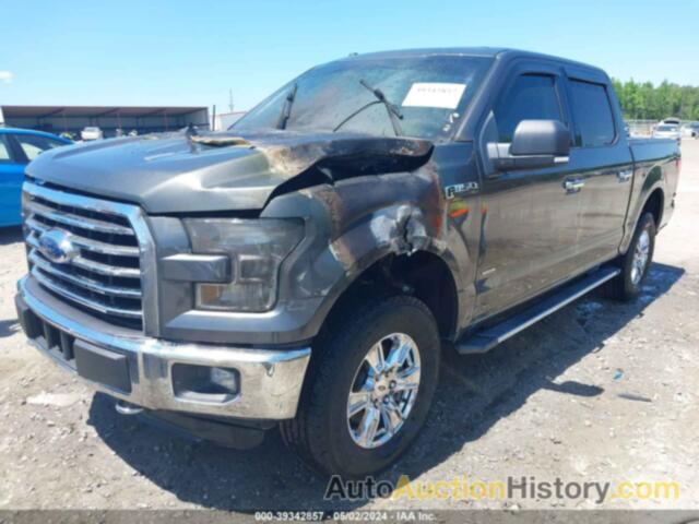 FORD F-150 XLT, 1FTEW1EG1FKD70631